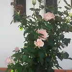 Casa Dos Pingos De Mel Bed and breakfast 3*