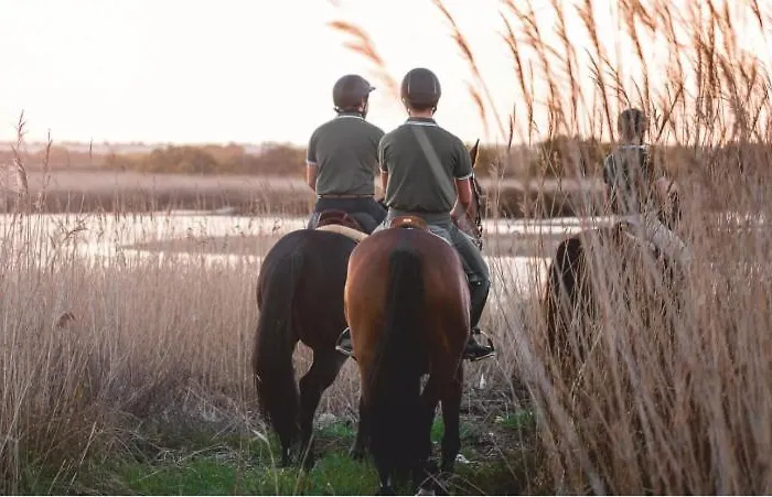 לינה וארוחת בוקר Casa Dos Pingos De Mel אבאירו